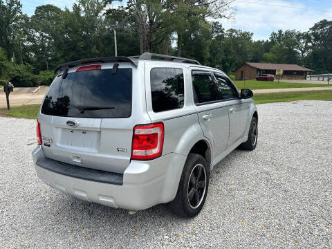 2010 Ford Escape XLT