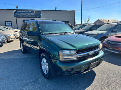 2002 Chevrolet TrailBlazer for sale at Virginia Auto Mall in Woodford VA