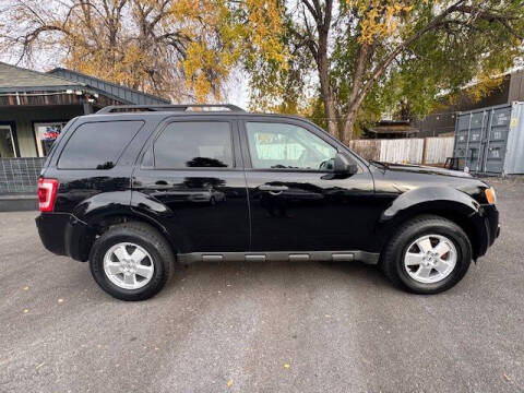 2010 Ford Escape XLT