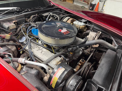 1981 Chevrolet Corvette