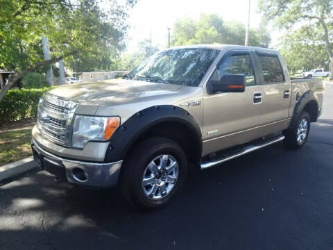 2013 Ford F-150 for sale at DONNY MILLS AUTO SALES in Largo FL