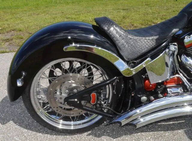 2002 Harley-Davidson FLSTS Heritage Springer