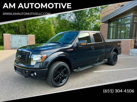 2012 Ford F-150 for sale at AM AUTOMOTIVE in Forest Lake MN