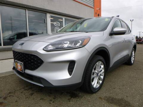 2020 Ford Escape for sale at Torgerson Auto Center in Bismarck ND