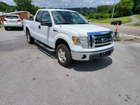 2011 Ford F-150 for sale at DISCOUNT AUTO SALES in Johnson City TN