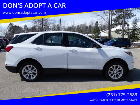 2018 Chevrolet Equinox for sale at DON'S ADOPT A CAR in Cadillac MI