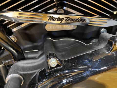 2022 Harley-Davidson Road Glide® Special