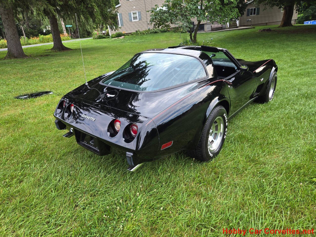 1979 Chevrolet Corvette 11