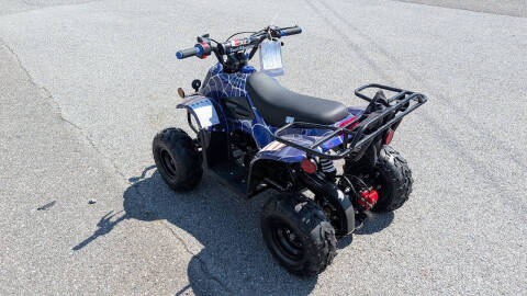 2025 TrailMaster Mini 110 Sport