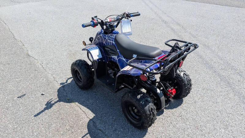 2025 TrailMaster Mini 110 Sport