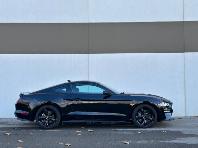 2022 Ford Mustang for sale at Phoenix Motor Co in Romulus, MI