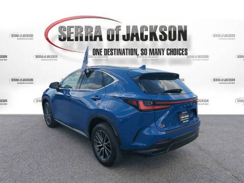 2025 Lexus NX 250