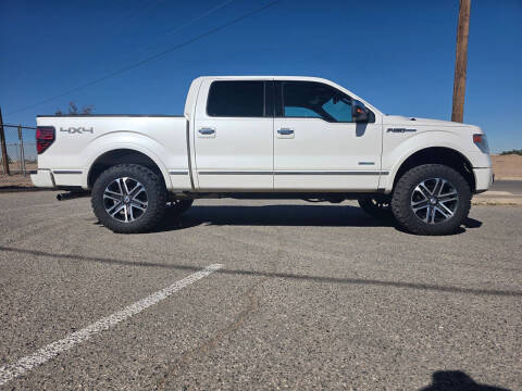 2013 Ford F-150 Platinum
