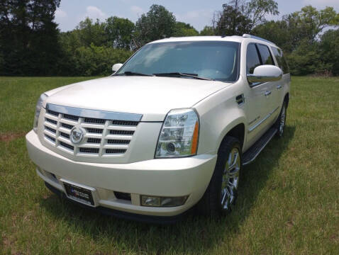 2009 Cadillac Escalade ESV for sale at LA PULGA DE AUTOS in Dallas TX