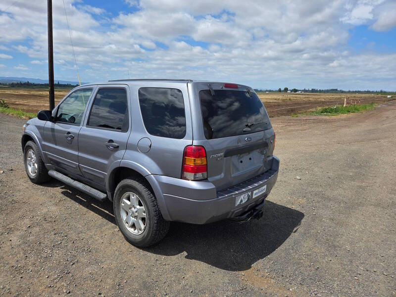 2007 Ford Escape XLT