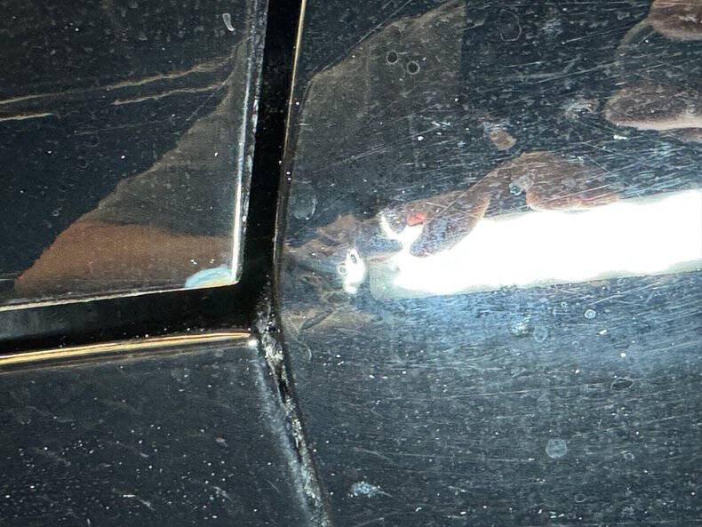 1981 Pontiac Firebird Trans Am