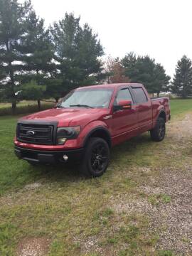 2013 Ford F-150 for sale at Hines Auto Sales in Marlette MI