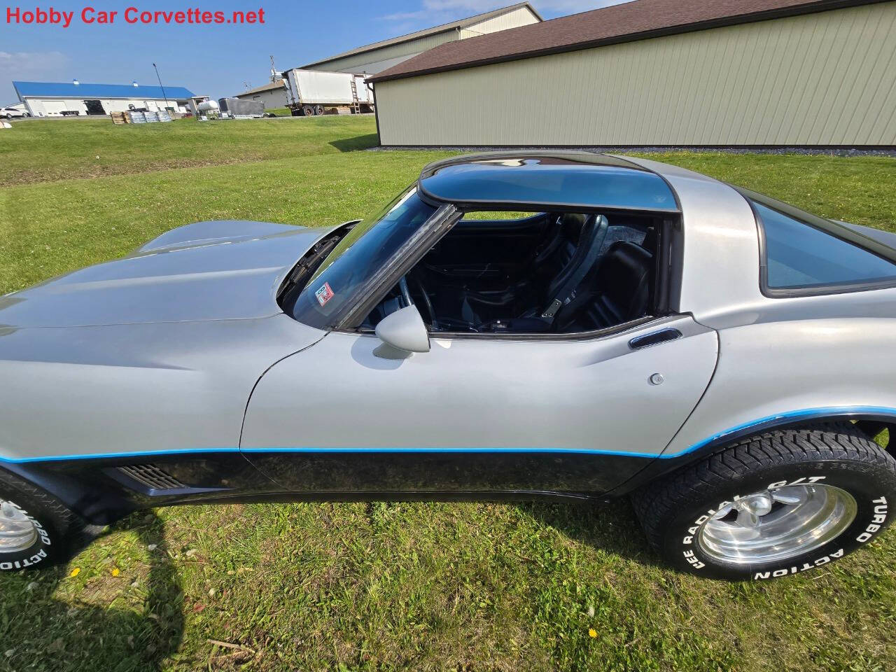 1981 Chevrolet Corvette 11