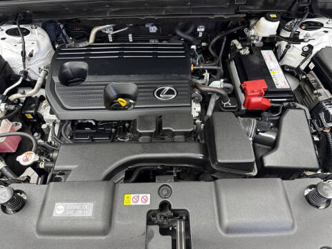 2024 Lexus NX 250