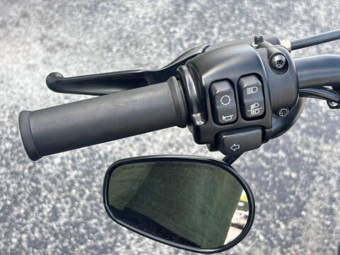 2022 Harley-Davidson Iron 883