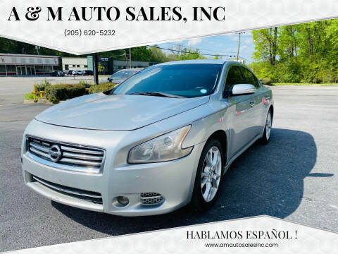 2014 Nissan Maxima for sale at A & M Auto Sales, Inc in Alabaster AL