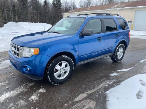 2011 Ford Escape for sale at J & K AUTO SALES LLC in Holland MI