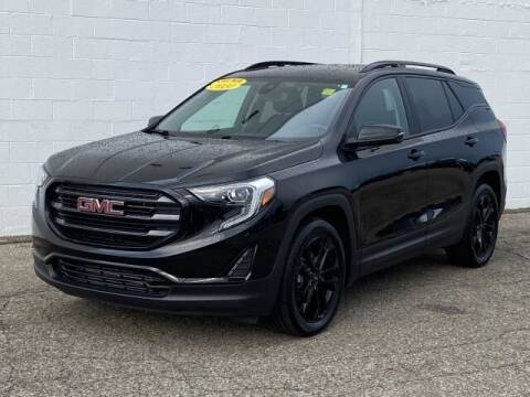 2020 GMC Terrain for sale at TEAM ONE CHEVROLET BUICK GMC in Charlotte MI