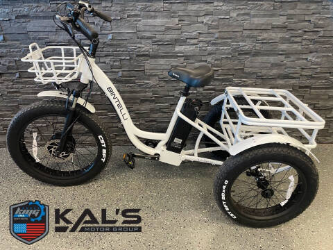 2022 Bintelli Trio Deluxe for sale at Kal's Motorsports - E-Bikes in Wadena MN