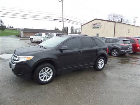 2014 Ford Edge for sale at Terrys Auto Sales in Somerset PA