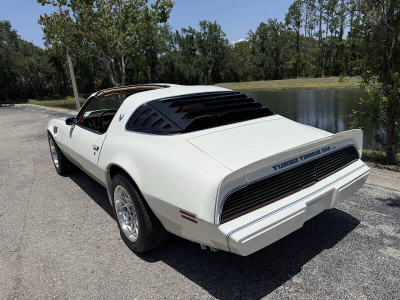 1981 Pontiac Firebird Trans Am