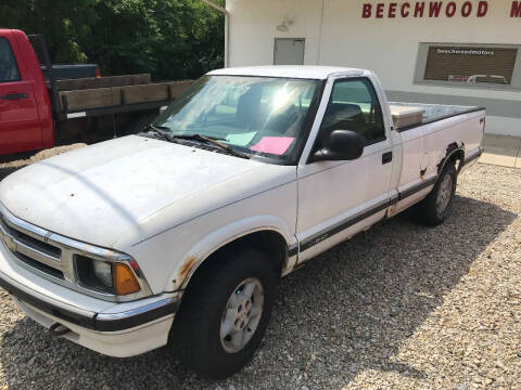 1994 Chevrolet S-10 for sale at Beechwood Motors in Somerville OH