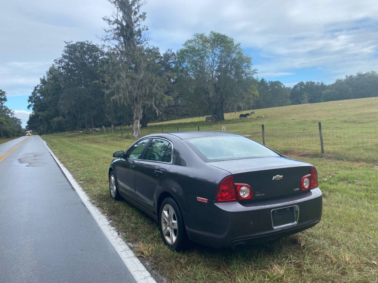 2010 Chevrolet Malibu for sale at AUTO NATION WAY LLC in Gainesville, FL