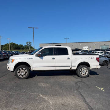 2010 Ford F-150 Platinum