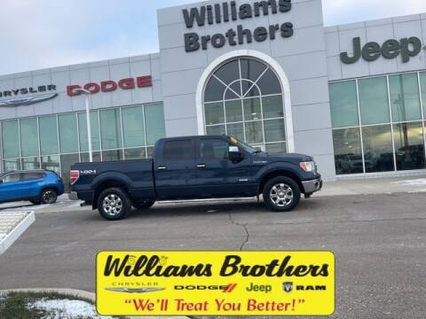 2013 Ford F-150 for sale at Williams Brothers - Pre-Owned Monroe in Monroe MI