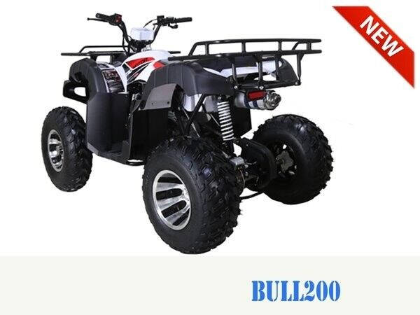 2023 TAO MOTOR BULL 200 for sale at Advanti Powersports in Mesa, AZ