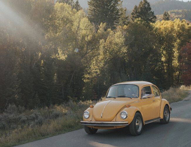 1973 Volkswagen Beetle