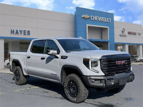 2024 GMC Sierra 1500 for sale at HAYES CHEVROLET Buick GMC Cadillac Inc in Alto GA