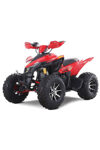 2025 Denago Daytona 250FI