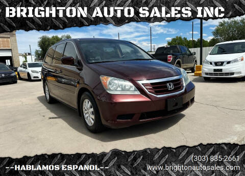 2009 Honda Odyssey for sale at BRIGHTON AUTO SALES INC in Brighton CO