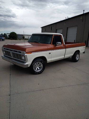 1973 Ford F-100