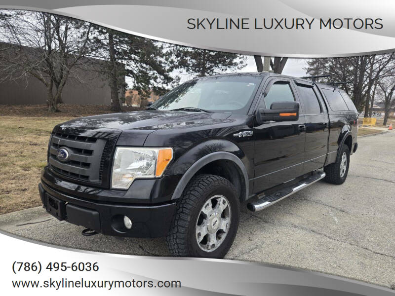 2010 Ford F-150 for sale at Skyline Luxury Motors in Buffalo Grove IL