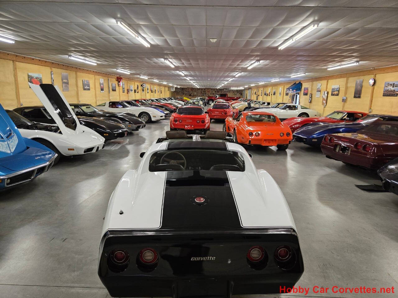 1976 Chevrolet Corvette 71
