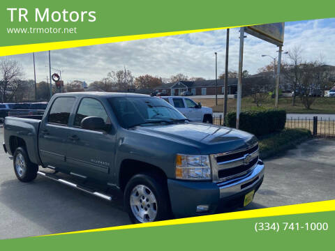 2011 Chevrolet Silverado 1500 for sale at TR Motors in Opelika AL