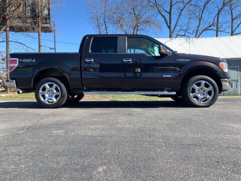 2013 Ford F-150 for sale at SMART DOLLAR AUTO in Milwaukee WI