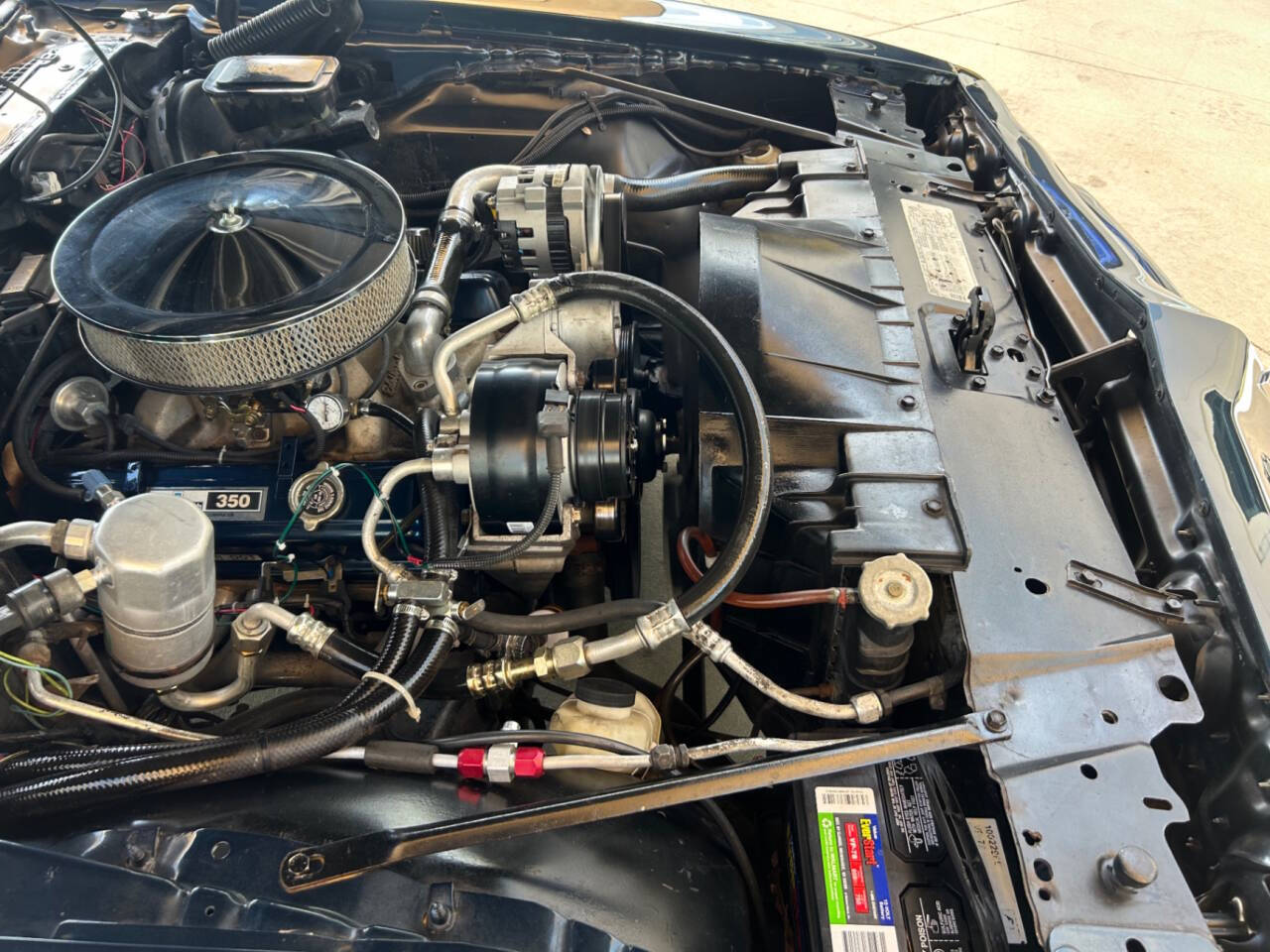 1981 Pontiac Firebird 36