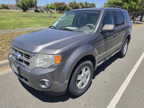 2009 Ford Escape XLT