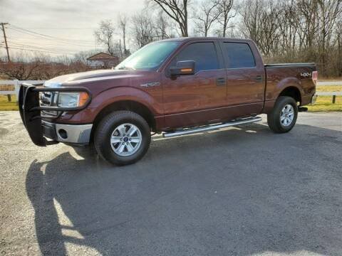 2010 Ford F-150 for sale at Woodcrest Motors in Stevens PA