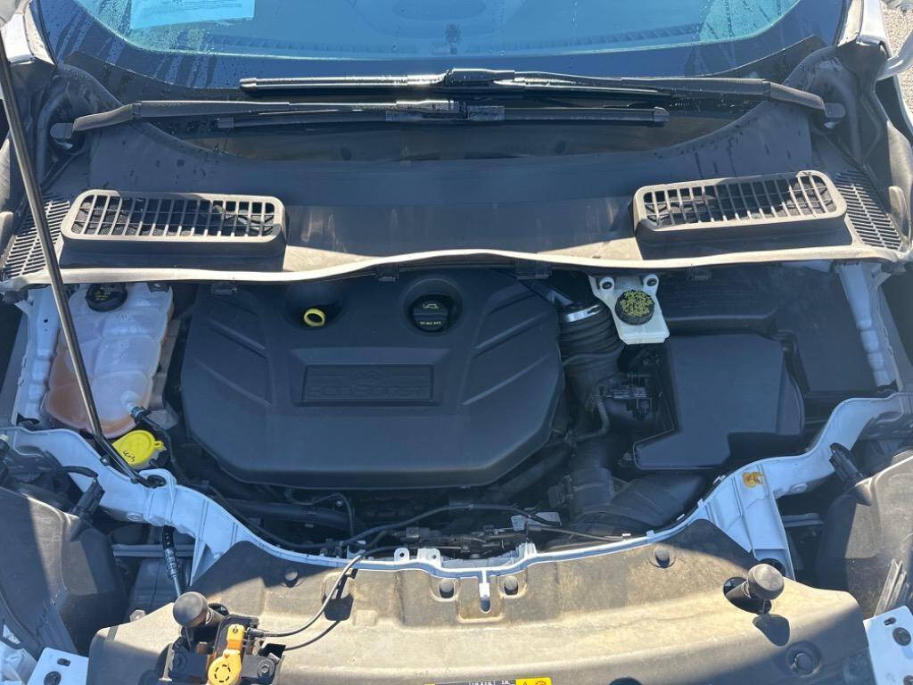 Off white 2013 Ford Escape SEL AWD SEL 4dr SUV 35