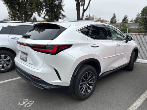 2024 Lexus NX 250