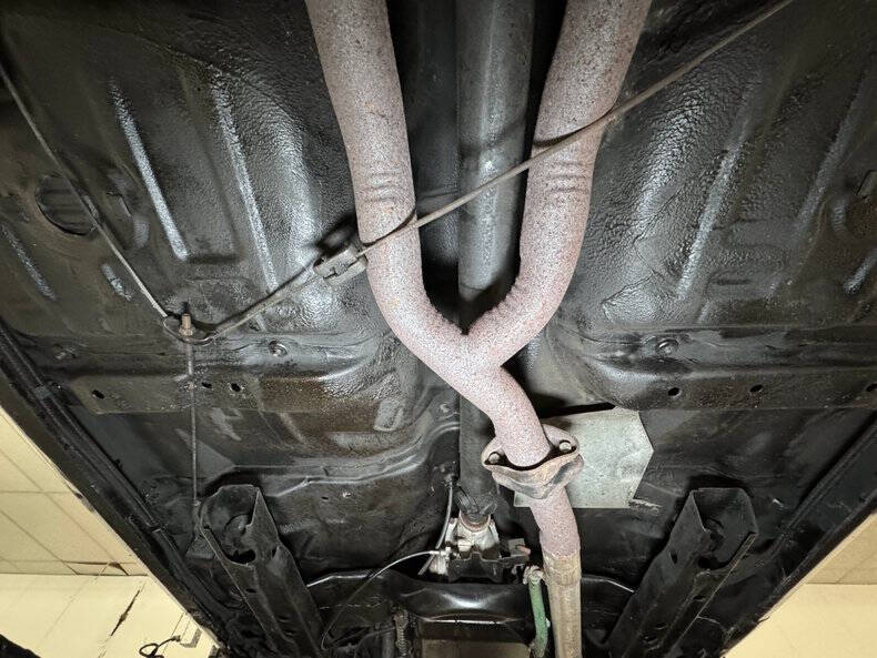 1981 Pontiac Firebird Trans Am